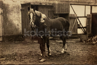 200 Kč GEN Pohlednice KONĚ FOTO, GEN145254