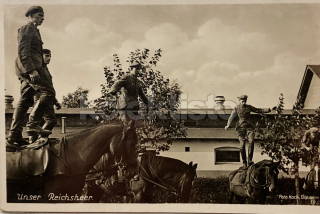 250 Kč GEN Pohlednice KONĚ FOTO, GEN145259