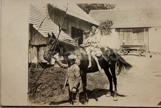 250 Kč GEN Pohlednice KONĚ FOTO, GEN145260