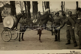 250 Kč GEN Pohlednice KONĚ FOTO, GEN145261