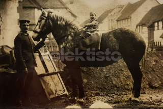 250 Kč GEN Pohlednice KONĚ FOTO, GEN145262