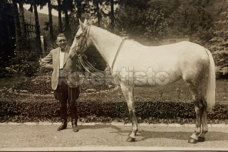 300 Kč GEN Pohlednice KONĚ FOTO, GEN145264