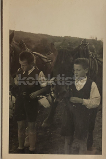 300 Kč GEN Pohlednice KONĚ FOTO, GEN145266