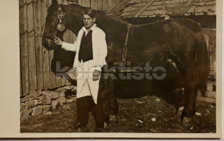 300 Kč GEN Pohlednice KONĚ FOTO, GEN145268