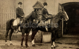 300 Kč GEN Pohlednice KONĚ FOTO, GEN145270