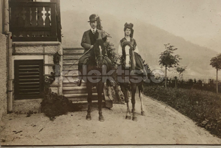 300 Kč GEN Pohlednice KONĚ FOTO, GEN145271