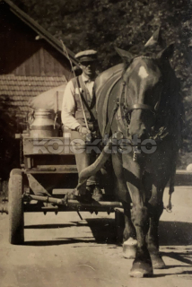 300 Kč GEN Pohlednice KONĚ FOTO, GEN145273