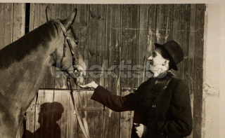 300 Kč GEN Pohlednice KONĚ FOTO, GEN145274