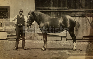 300 Kč GEN Pohlednice KONĚ FOTO, GEN145275
