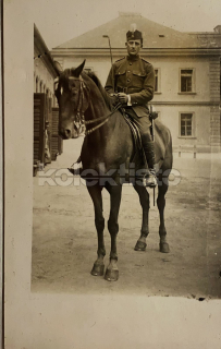 300 Kč GEN Pohlednice KONĚ FOTO, GEN145276