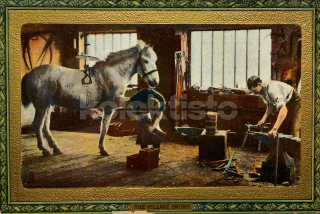 300 Kč GEN Pohlednice KONĚ FOTO, GEN145279