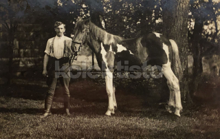 300 Kč GEN Pohlednice KONĚ FOTO, GEN145280