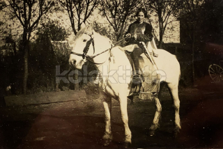 300 Kč GEN Pohlednice KONĚ FOTO, GEN145282