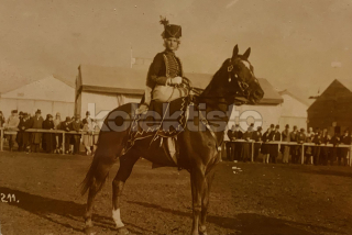 350 Kč GEN Pohlednice KONĚ FOTO, GEN145285