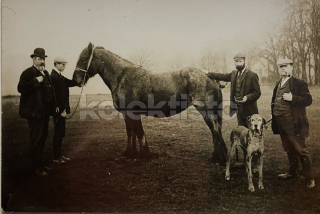 350 Kč GEN Pohlednice KONĚ FOTO, GEN145286