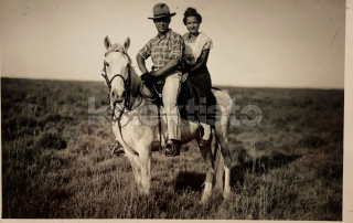 350 Kč GEN Pohlednice KONĚ FOTO, GEN145287