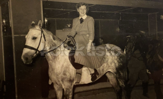 350 Kč GEN Pohlednice KONĚ FOTO, GEN145290