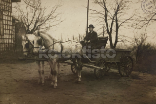 400 Kč GEN Pohlednice KONĚ FOTO, GEN145292