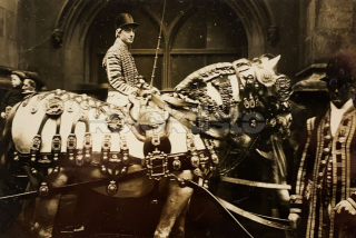 400 Kč GEN Pohlednice KONĚ FOTO, GEN145293
