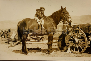 400 Kč GEN Pohlednice KONĚ FOTO, GEN145295