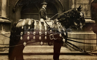 400 Kč GEN Pohlednice KONĚ FOTO, GEN145296