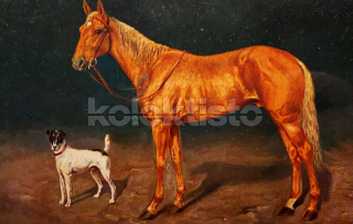 150 Kč GEN Pohlednice KONĚ MALOVANÉ, GEN145305