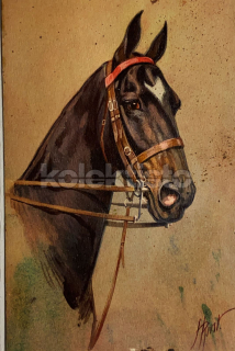 150 Kč GEN Pohlednice KONĚ MALOVANÉ, GEN145308