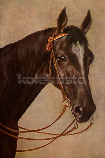 200 Kč GEN Pohlednice KONĚ MALOVANÉ, GEN145320