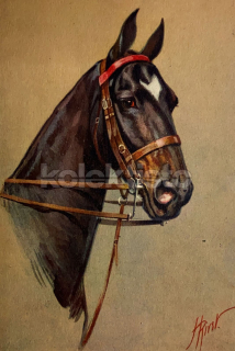 250 Kč GEN Pohlednice KONĚ MALOVANÉ, GEN145337