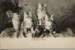 100 Kč GEN Pohlednice KOČKY FOTO, GEN145366