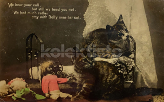 100 Kč GEN Pohlednice KOČKY FOTO, GEN145381