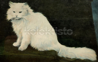 100 Kč GEN Pohlednice KOČKY FOTO, GEN145391