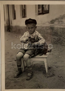 150 Kč GEN Pohlednice KOČKY FOTO, GEN145411