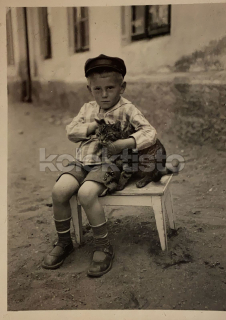 150 Kč GEN Pohlednice KOČKY FOTO, GEN145412