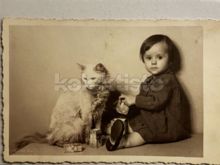 150 Kč GEN Pohlednice KOČKY FOTO, GEN145415