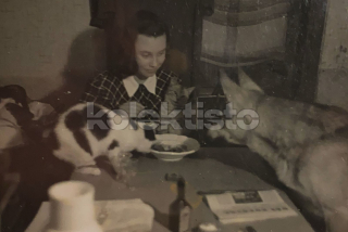 200 Kč GEN Pohlednice KOČKY FOTO, GEN145425