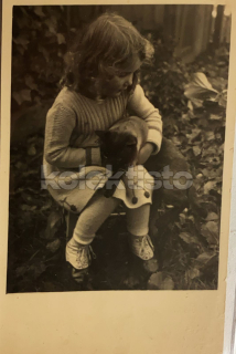 200 Kč GEN Pohlednice KOČKY FOTO, GEN145429