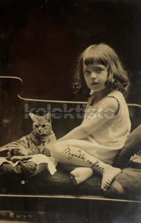 250 Kč GEN Pohlednice KOČKY FOTO, GEN145435