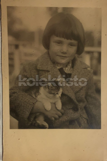 250 Kč GEN Pohlednice KOČKY FOTO, GEN145436