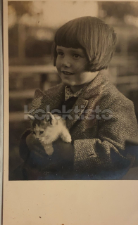 250 Kč GEN Pohlednice KOČKY FOTO, GEN145437