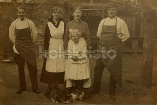 250 Kč GEN Pohlednice KOČKY FOTO, GEN145439