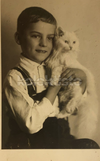 300 Kč GEN Pohlednice KOČKY FOTO, GEN145441