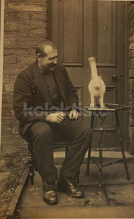 300 Kč GEN Pohlednice KOČKY FOTO, GEN145442
