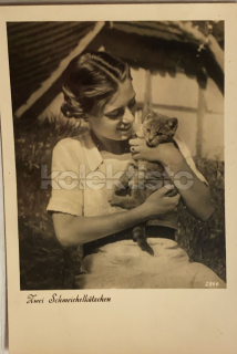 300 Kč GEN Pohlednice KOČKY FOTO, GEN145443