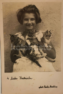 300 Kč GEN Pohlednice KOČKY FOTO, GEN145447