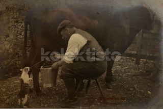 600 Kč GEN Pohlednice KOČKY FOTO, GEN145450
