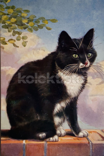 150 Kč GEN Pohlednice KOČKY MALOVANÉ, GEN145455