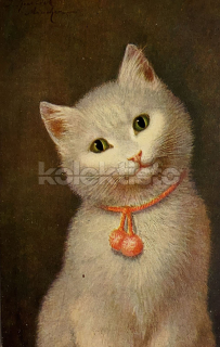 150 Kč GEN Pohlednice KOČKY MALOVANÉ, GEN145474