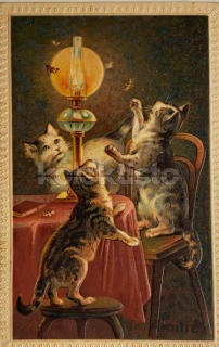 400 Kč GEN Pohlednice KOČKY MALOVANÉ, GEN145521
