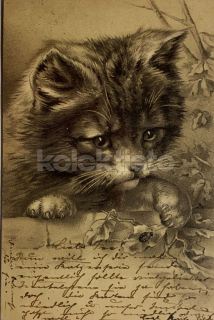 400 Kč GEN Pohlednice KOČKY MALOVANÉ, GEN145527